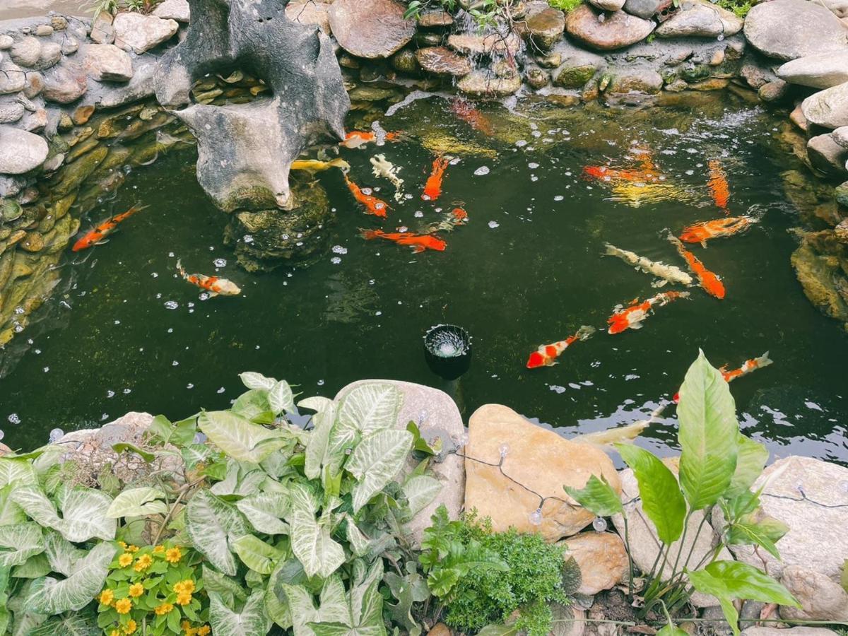 Pao'S Leisure Homestay Hà Giang Ngoại thất bức ảnh